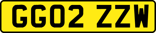 GG02ZZW