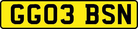 GG03BSN