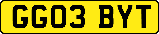 GG03BYT