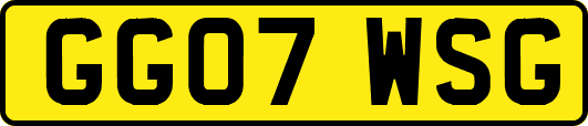 GG07WSG