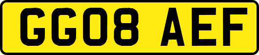 GG08AEF