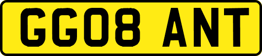 GG08ANT