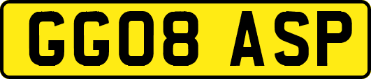 GG08ASP