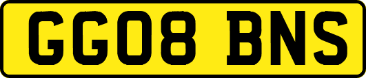 GG08BNS