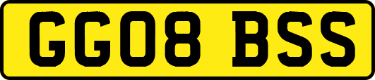 GG08BSS