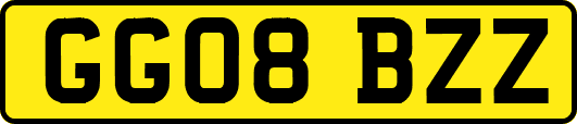 GG08BZZ