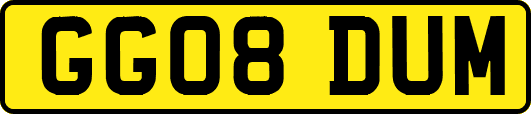GG08DUM