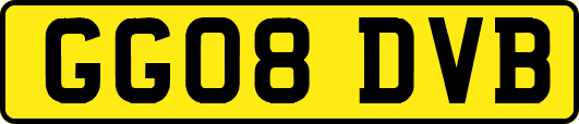 GG08DVB