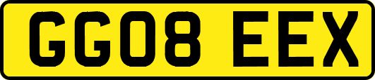 GG08EEX