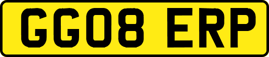 GG08ERP