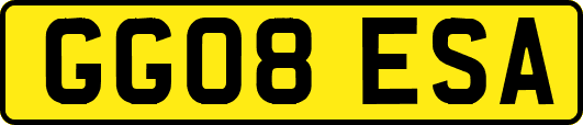 GG08ESA
