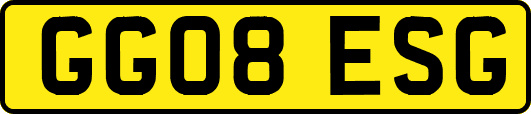 GG08ESG