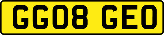 GG08GEO