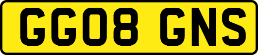 GG08GNS