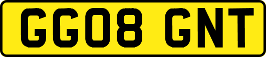 GG08GNT