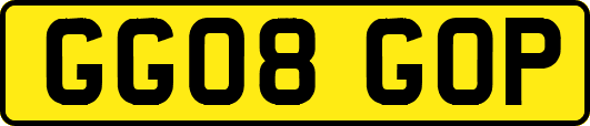 GG08GOP