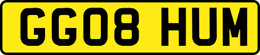 GG08HUM