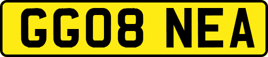 GG08NEA