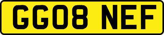 GG08NEF