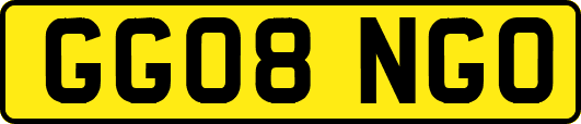 GG08NGO