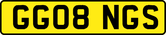 GG08NGS