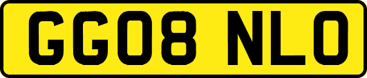 GG08NLO