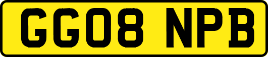 GG08NPB