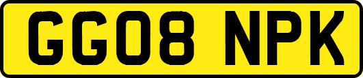 GG08NPK