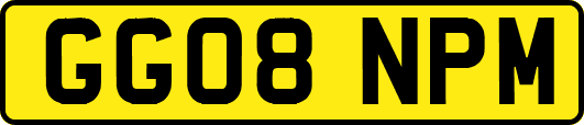 GG08NPM