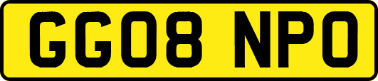 GG08NPO