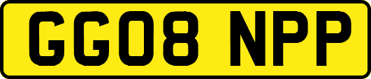 GG08NPP