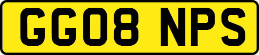 GG08NPS