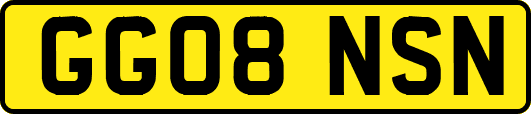 GG08NSN