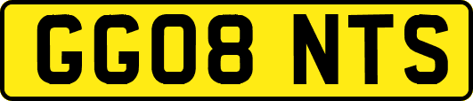 GG08NTS