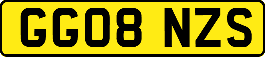 GG08NZS
