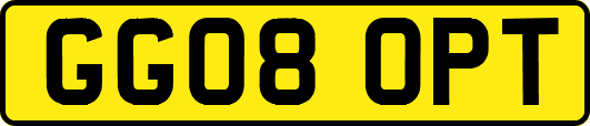 GG08OPT