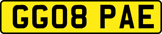 GG08PAE