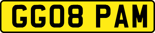 GG08PAM