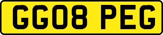 GG08PEG