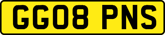 GG08PNS