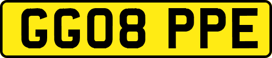 GG08PPE