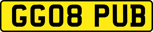 GG08PUB