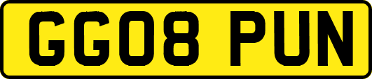 GG08PUN