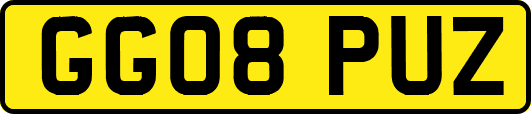 GG08PUZ
