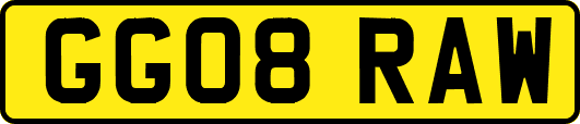 GG08RAW