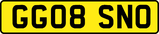 GG08SNO