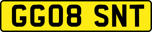 GG08SNT
