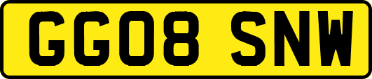 GG08SNW