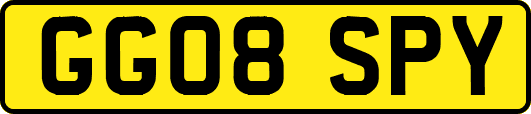 GG08SPY