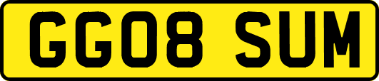 GG08SUM